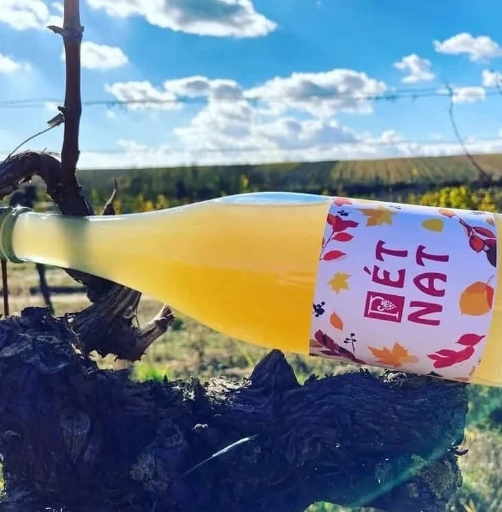 Pét-Nat Pinot Blanc 2025 (Rulandské biele)